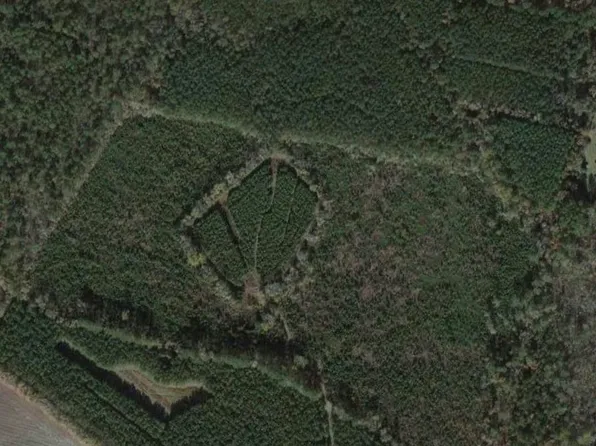 244 Chair Rd., Hemingway, SC 29554