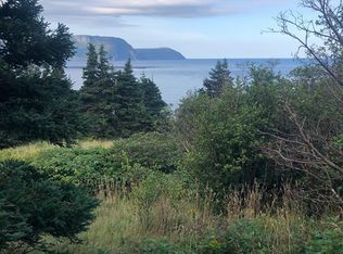 158 A Main St N, Trout River, NL A0K5P0