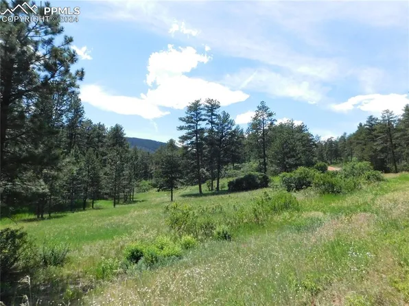 8482 Crow Pl, Larkspur, CO 80118