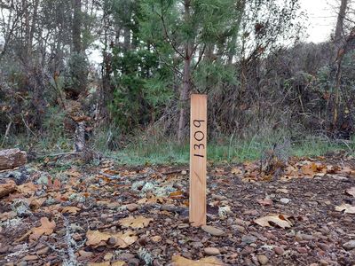 1309 Green Valley Dr, Cave Junction, OR, 97523