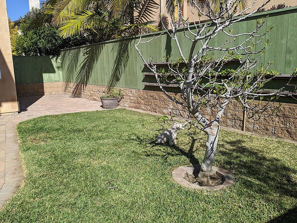 2nd image of 11362 W San Raphael Driveway