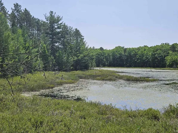 Vans Ln, Fife Lake, MI 49633