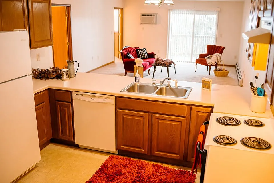 2 bed, 1100 sqft, $1,295 — Photo 4