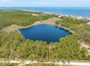 69 Lake View Dr, Panacea, FL 32346