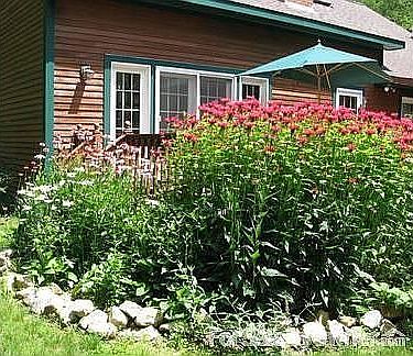 View of deck/flower bed
						:
						butterflies, hummingbirds, humming moths and more visit bee balm, cone flowers