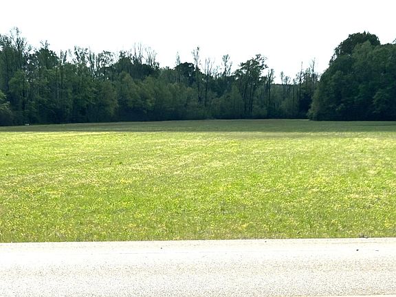 4th image of N Eason Blvd