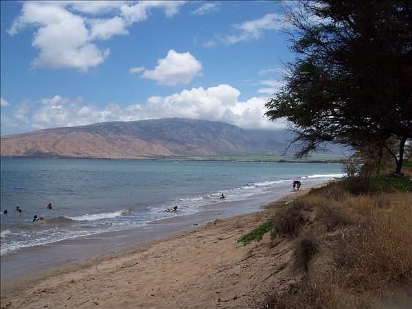 1st image of 41 Kai Makani Loop APT 101