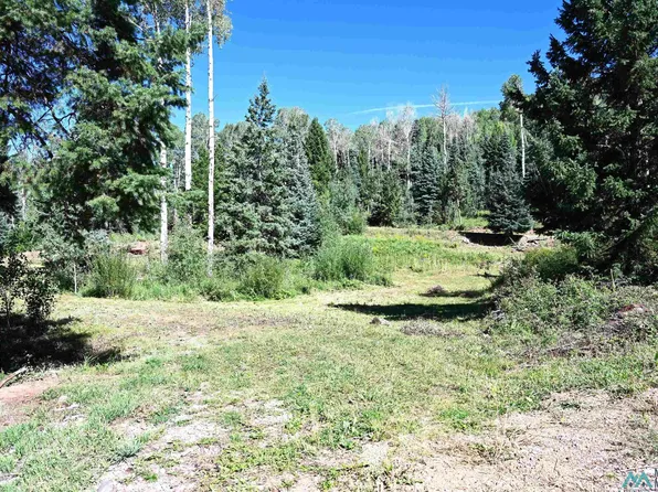 3 Canyons End Rd, Chama, NM 87520