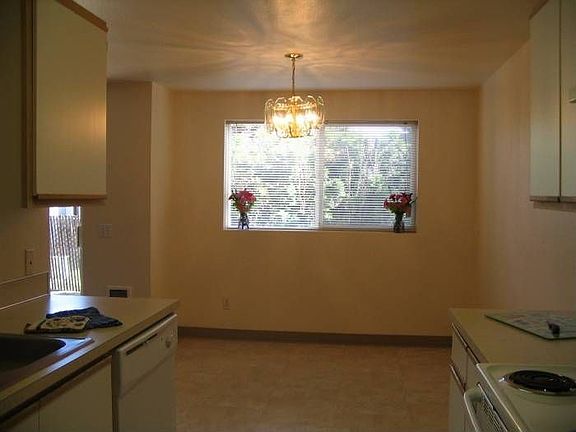 Large Window in Dining