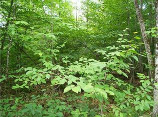 11 Blair Hill Rd, Greenville, ME 04441