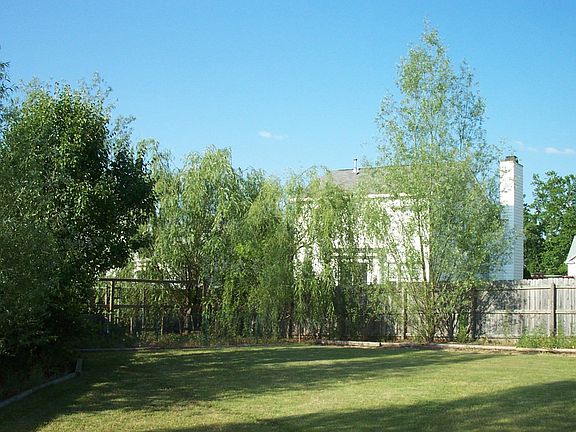 Closeup of back left corner of yard.