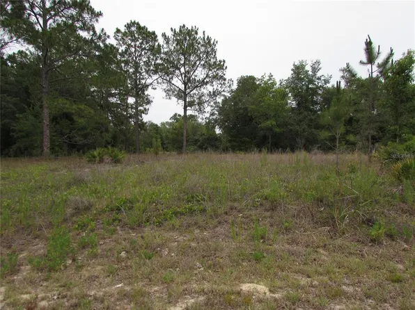 LOT 40 SW South Wind Ct Lot 40, Dunnellon, FL 34431