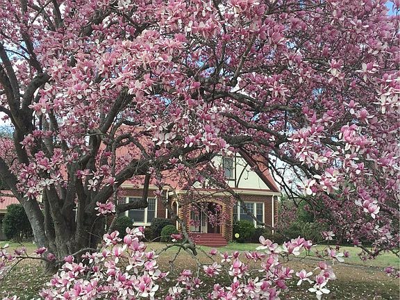 2nd image of 18B Country Club Hls