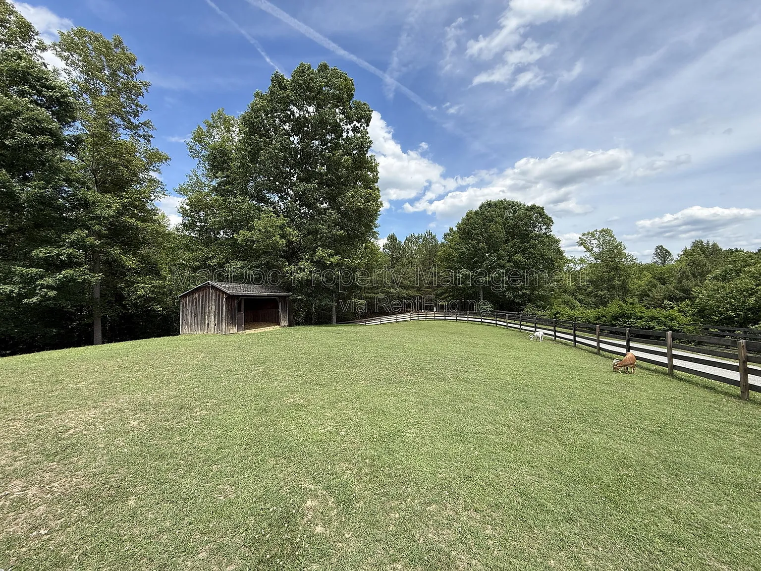 3 bed, 2.0 bath, 1767 sqft, $3,195 — Photo 3