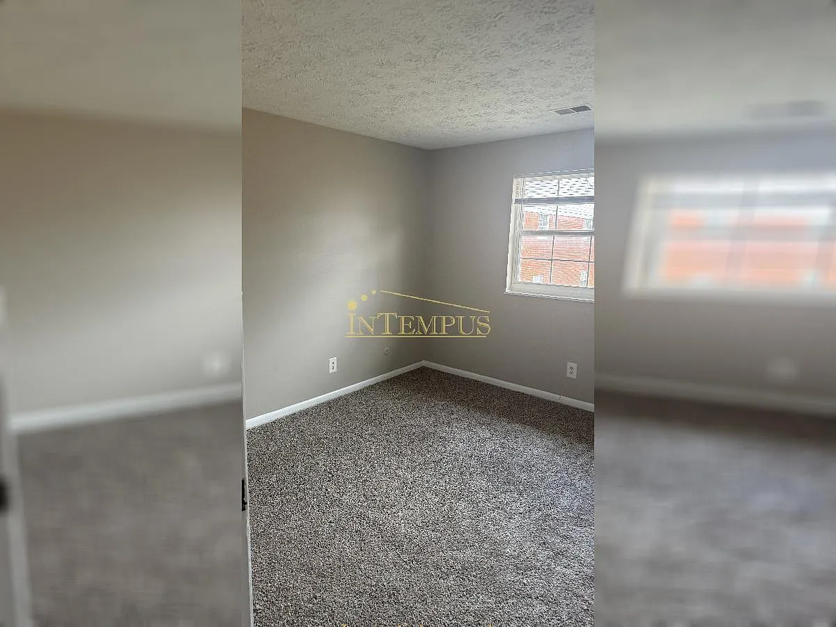 3 bed, 1.5 bath, 1280 sqft, $1,425 — Photo 3