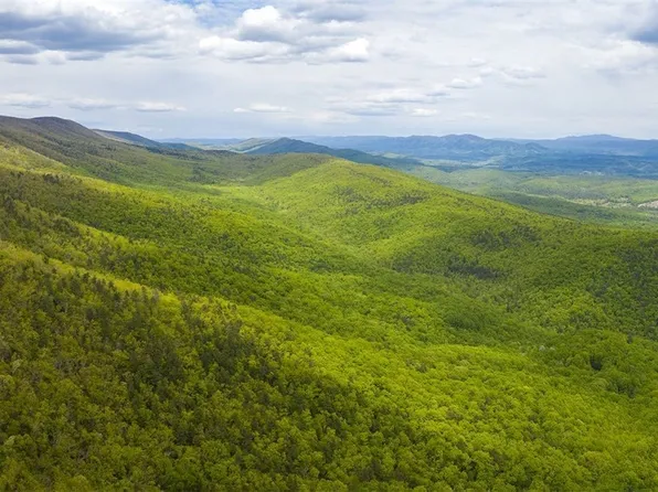 Near Rich Patch Rd, Covington, VA 24426