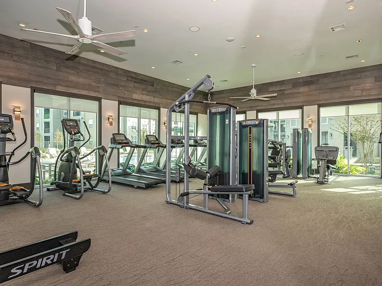 Territory at Greenhouse — Photo 19