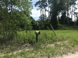 1046 Chameleon Rd, Pierson, FL 32180