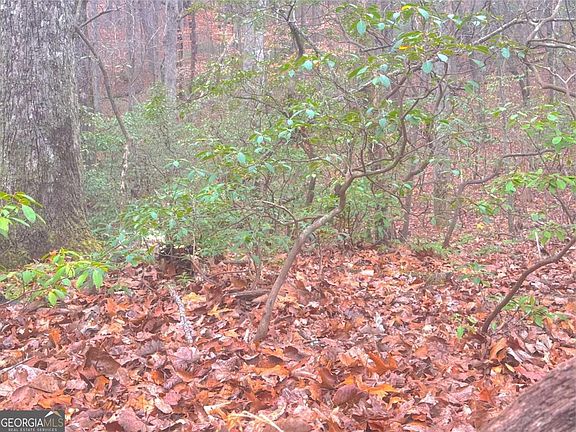 3rd image of 0 Crooked Creek Trce