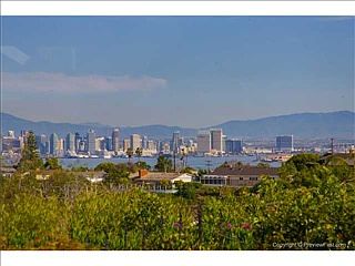 1st image of 1201 Catalina Blvd