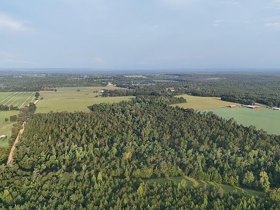 5th image of 6560 Raylene Rd