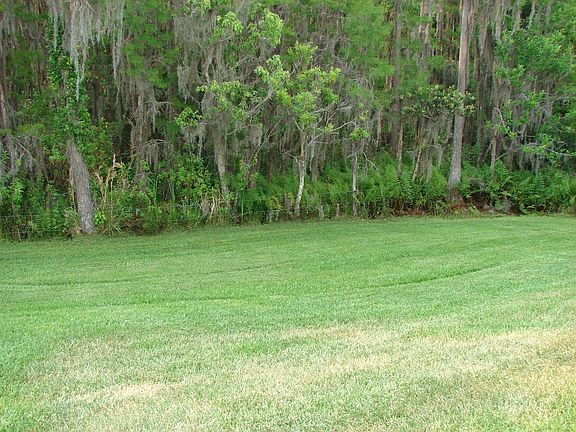 back yard