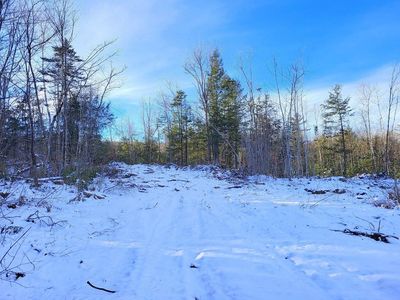 Lot 62.2 Reeds Mill Road, Phillips, ME, 04966