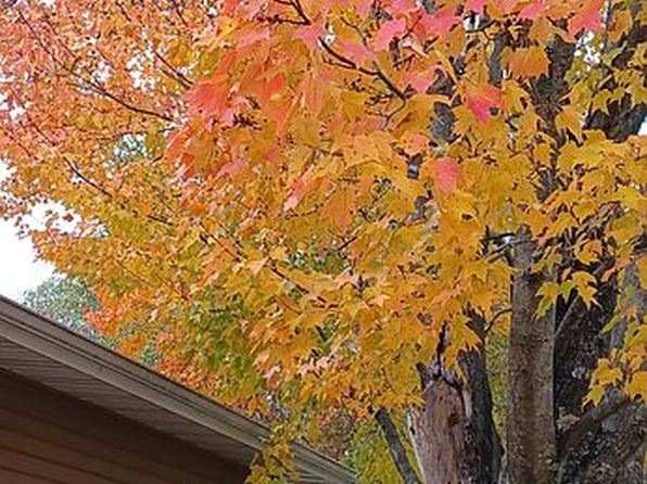 6522 E Viking Blvd Trailer 221