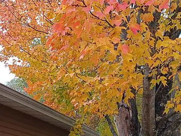 6522 E Viking Blvd Trailer 221, Wyoming, MN 55092