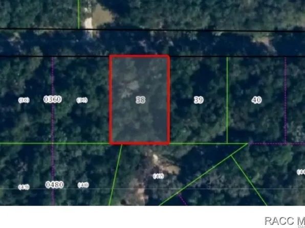 9616 W Pomegranate St, Crystal River, FL 34428