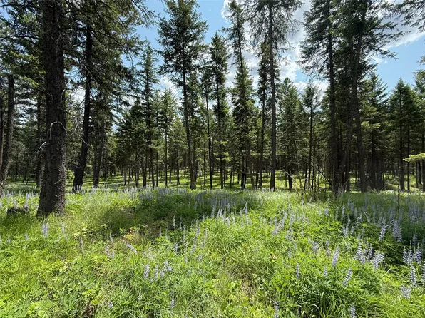 PARCEL Kootenai Dr #B, Troy, MT 59935