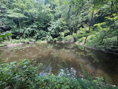 1191 W Adkins Arthur Rd, Somerset, KY, 42501