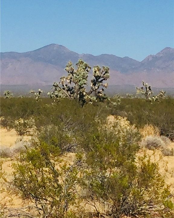 1st image of 069 E Mesquite Drive