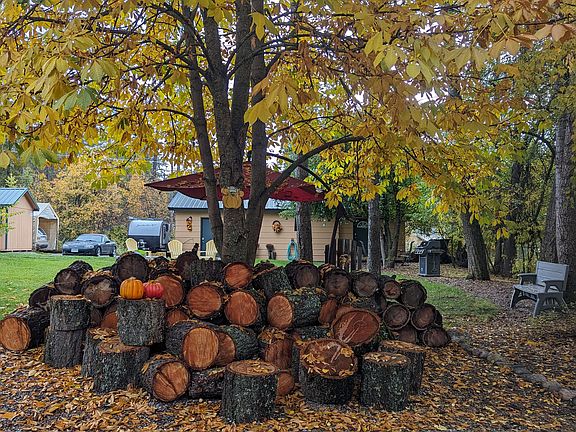Front driveway and side yard, Fall.