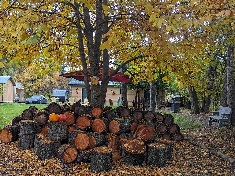Front driveway and side yard, Fall.
