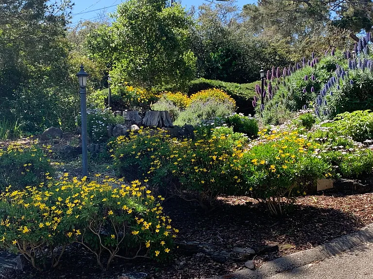 214 Mar Vista Dr — Photo 29