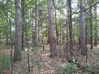 1059 East Queens Way LOT 41, Nekoosa, WI, 54457