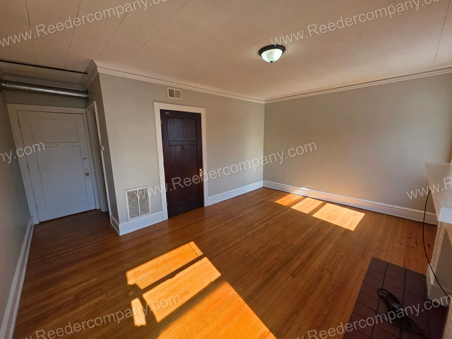51-53 Elizabeth Street — Photo 2