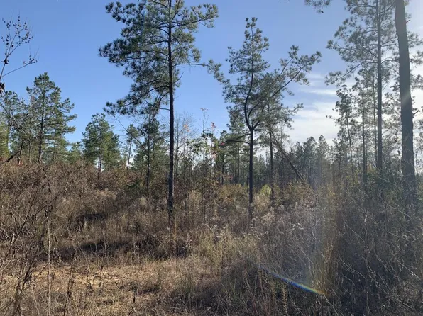 0 New Mineral Springs Rd, Eros, LA 71238