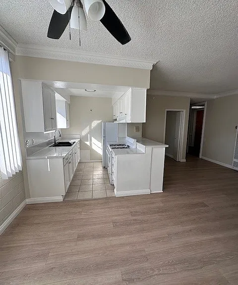 303 S Commonwealth Ave #COMMONWEALTH — Photo 3