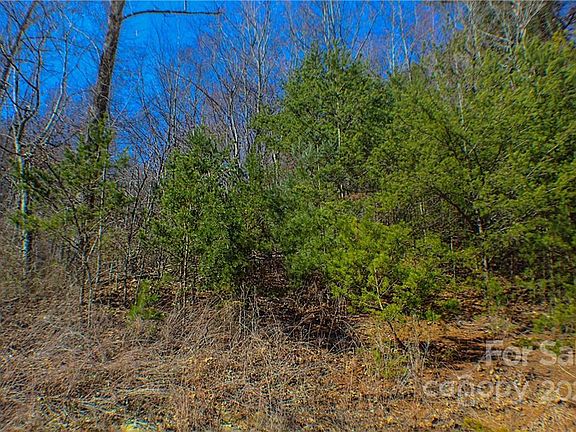 4th image of 70 Mountain Magnolia Dr Lot 50
