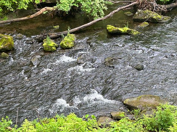 View of brook off deck