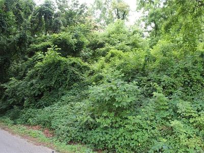 99999 Vanderbilt Ter, Asheville, NC, 28806