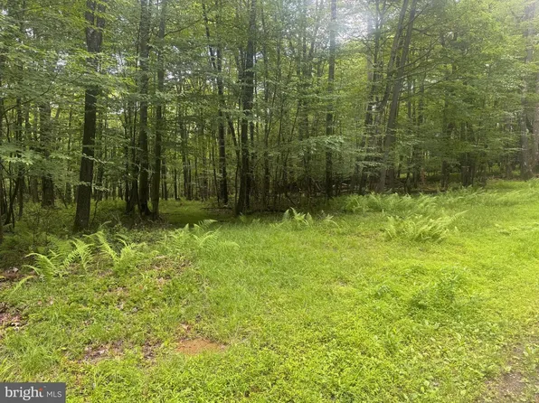 18 Buck Dr, Oakland, MD 21550