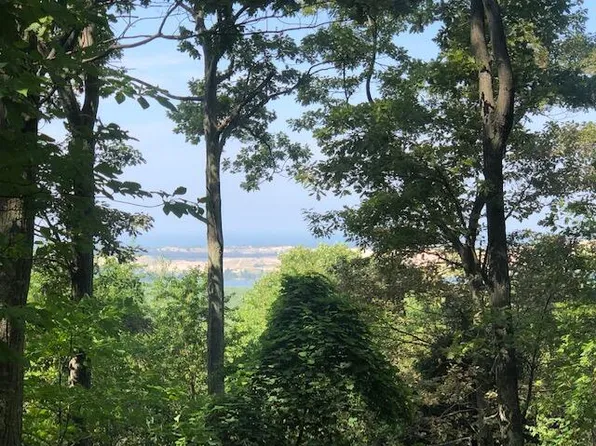 Silver Vis Lot 3, Mears, MI 49436