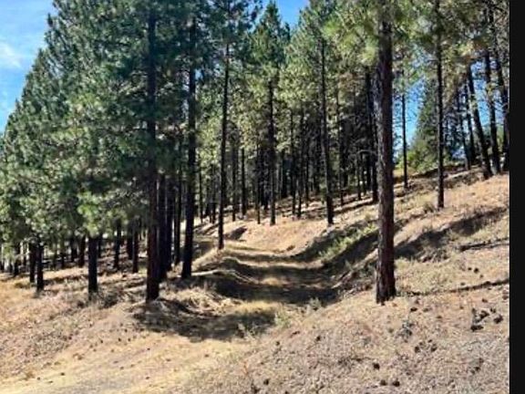 3rd image of 13110 S Fairway Ridge Ln