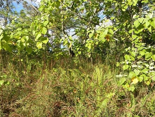 5th image of Hokuao St Lot 70