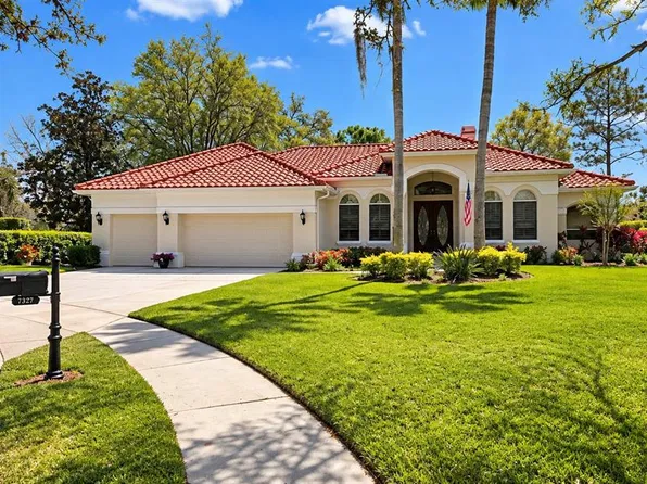 9127 WOODRIDGE RUN DRIVE, TAMPA, FL 33647
