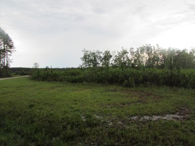 29 Grey, Millwood, GA, 31552