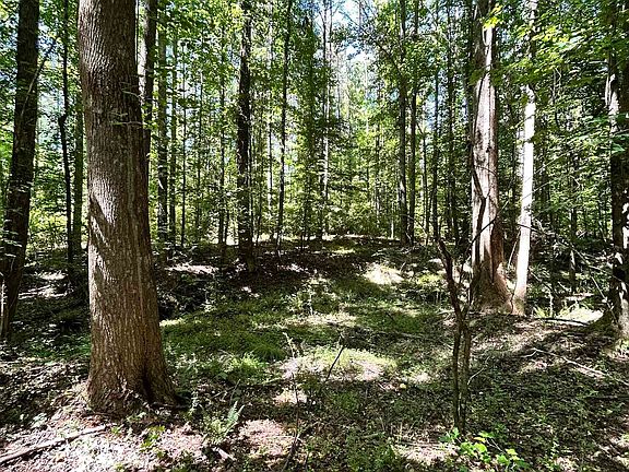 3rd image of 13 Highway 413